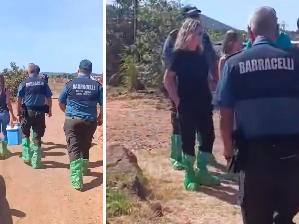 Veterinarians blocked by anti-vaxxers in Masainas, the Local Health Authority (ASL) says, "Now we're filing a complaint."