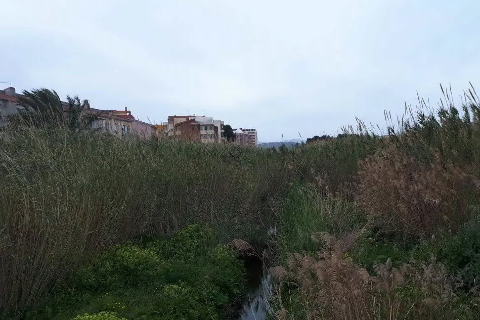Il rio Is Cungiaus (L'Unione Sarda - foto Daga)