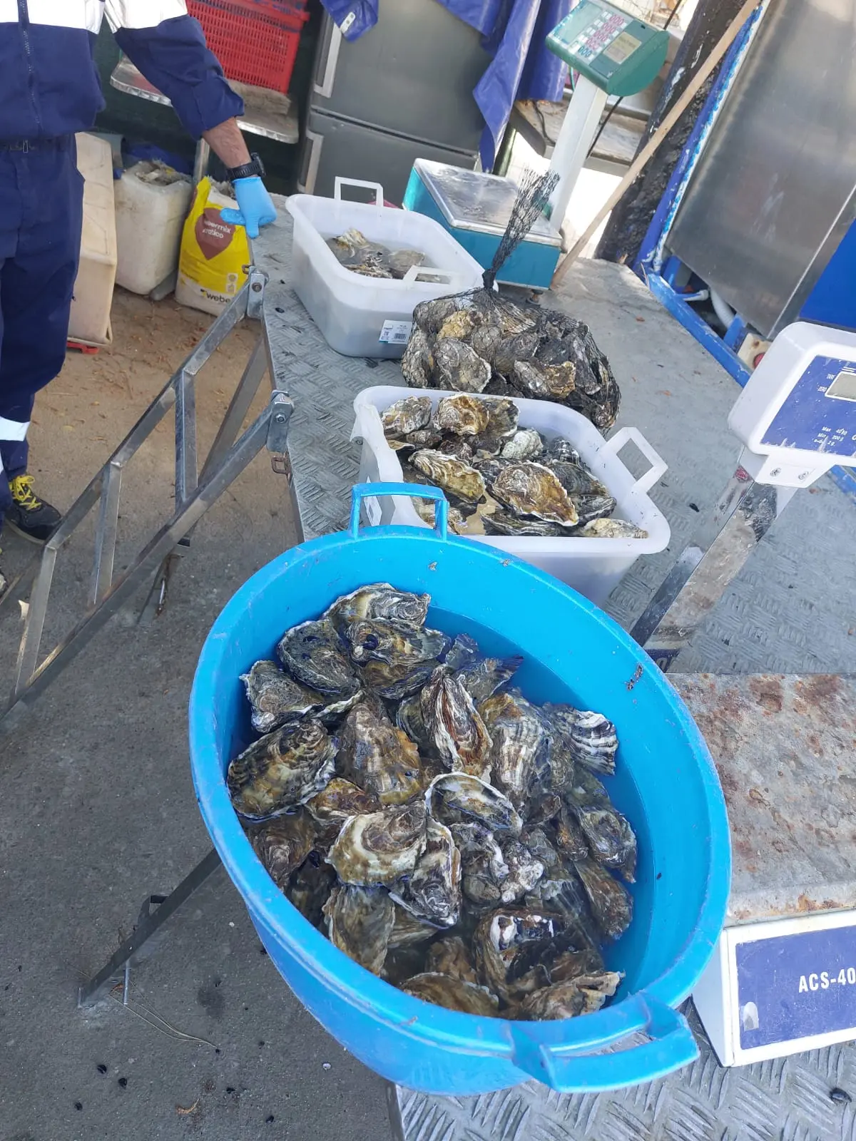 Il sequestro in via Is Mirrionis