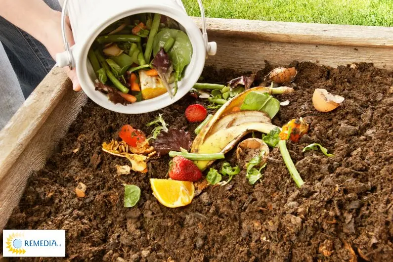 Compostaggio domestico, immagine simbolo