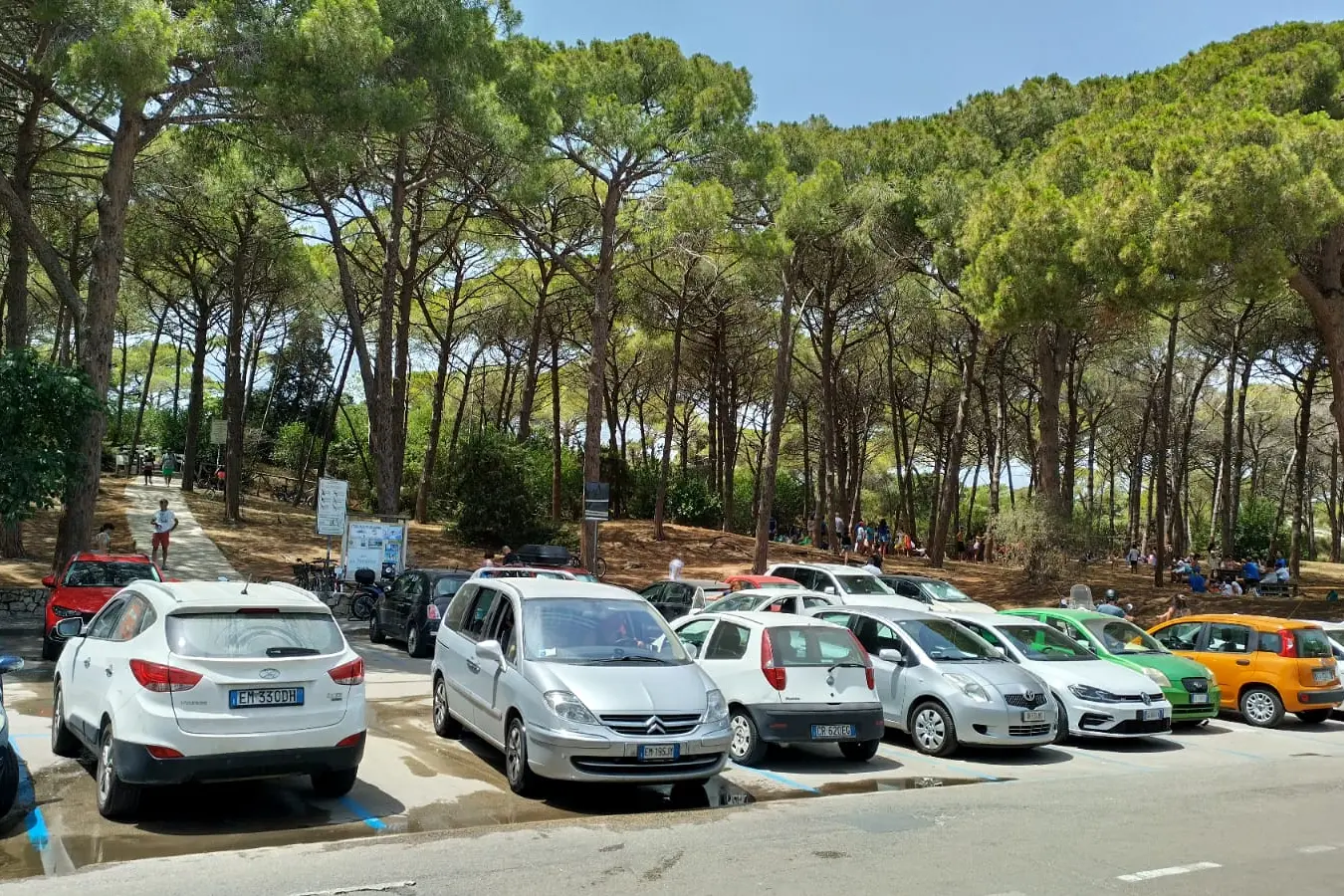 Auto in sosta libera (Foto Fiori)