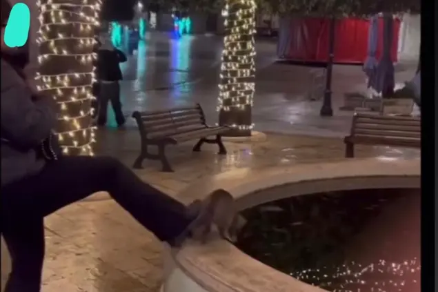 La ragazzina che fa finire il gatto nella fontana (Facebook)