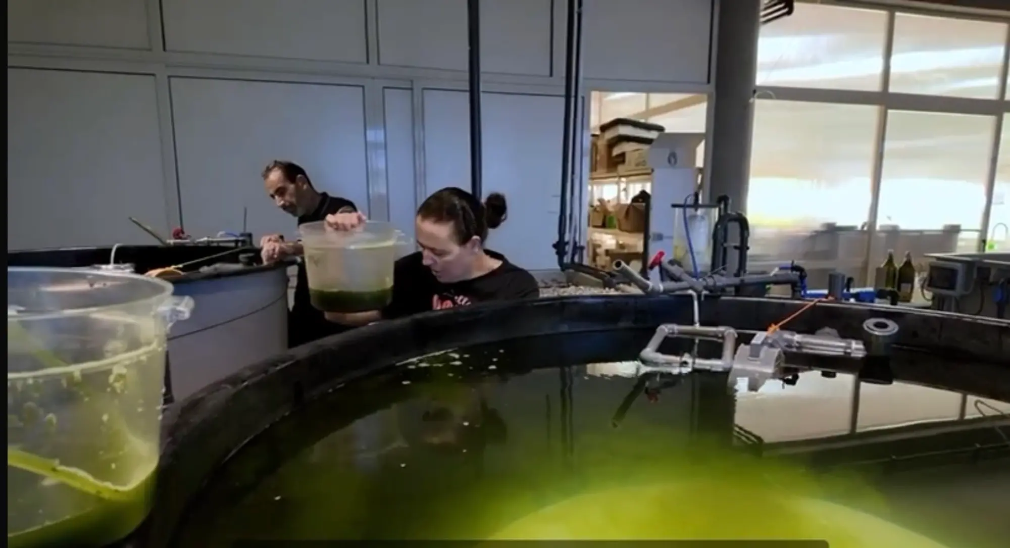 I laboratori dell'Imc di Torregrande (foto concessa)
