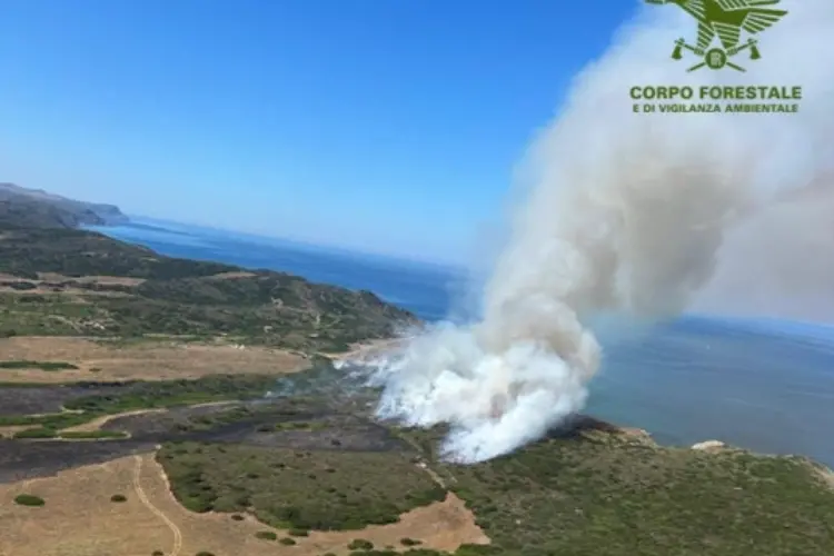 L'incendio a Stintino (foto forestale)