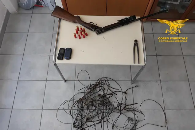 Il materiale sequestrato (foto Corpo forestale)