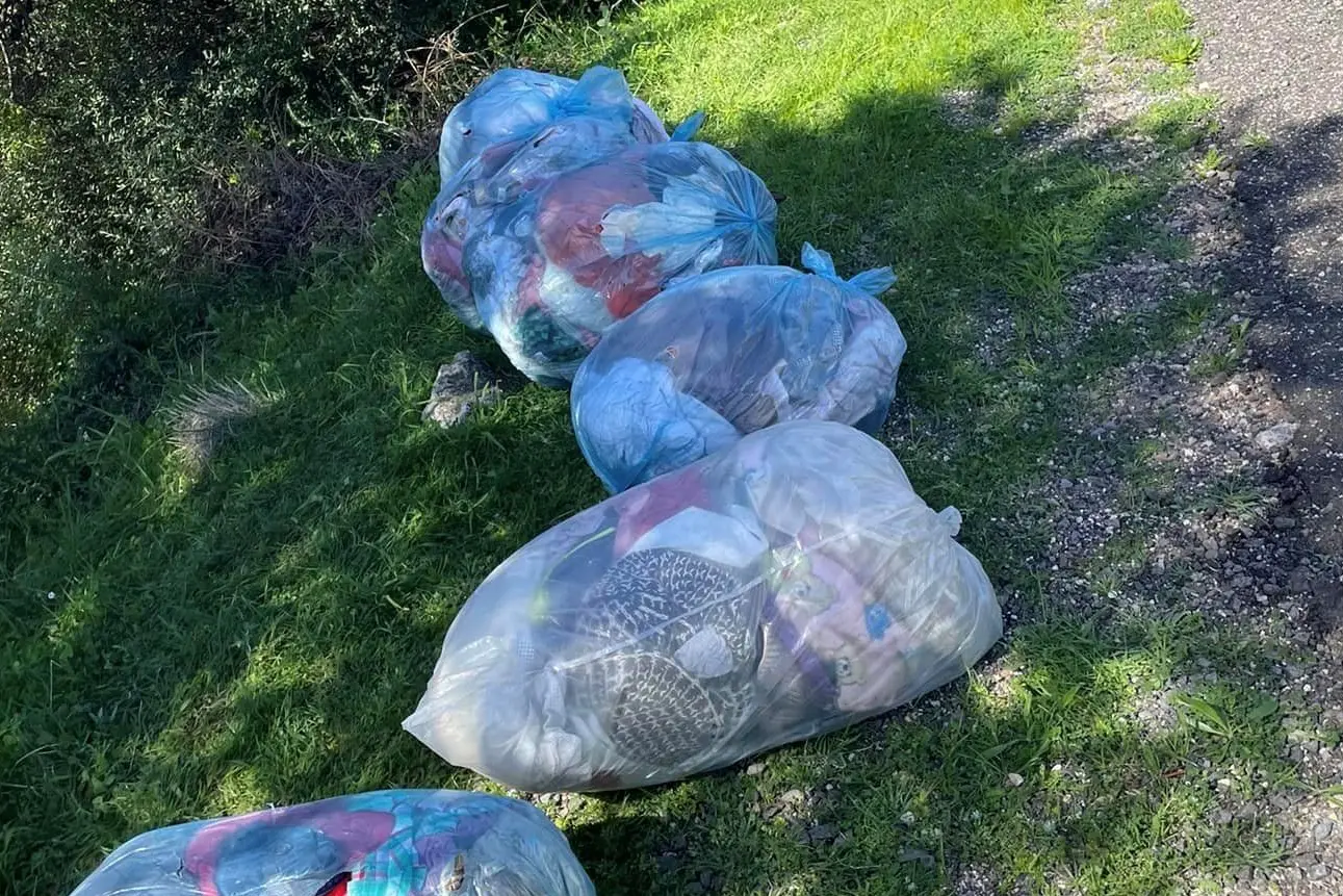 Buste di rifiuti buttate a bordo strada (foto Corrias)