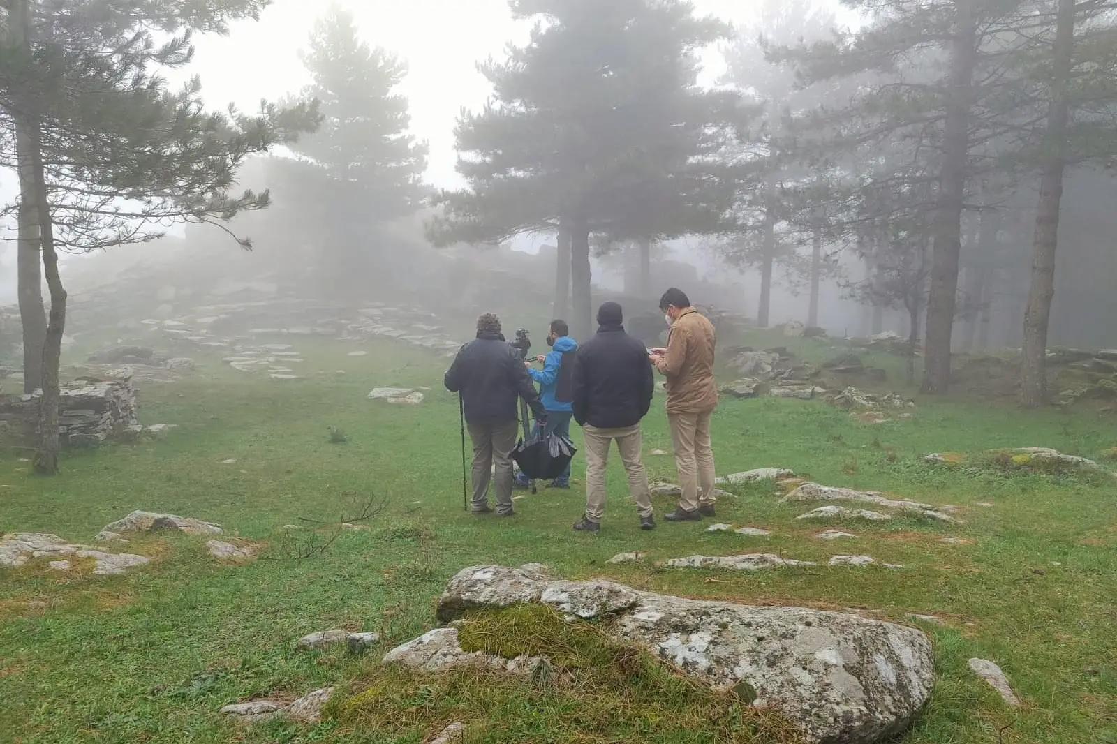 Esterzili, la pineta di Santa Vittoria (foto Melis)