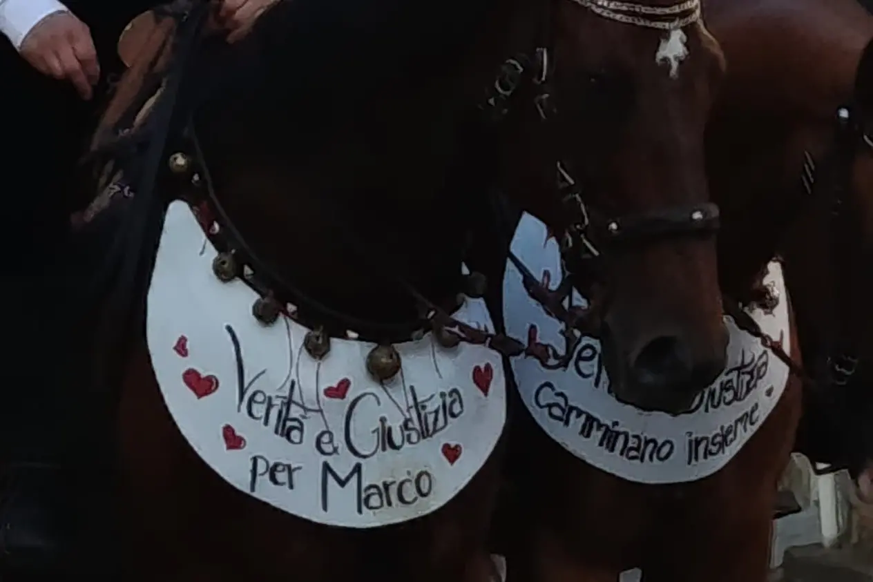 Le bardature dei cavalli a Ilbono
