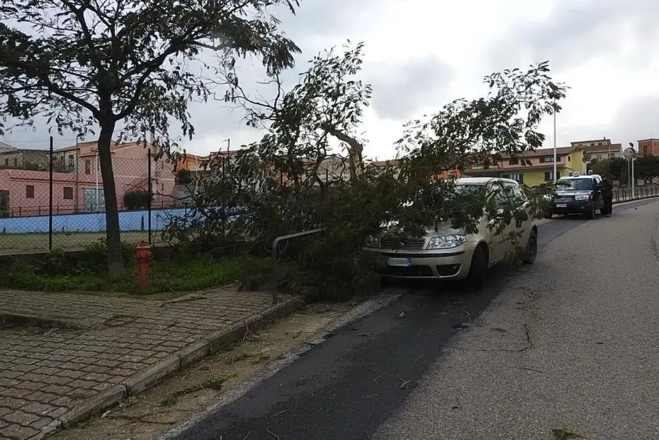 L'albero caduto su un'auto (foto Antonio Serreli)