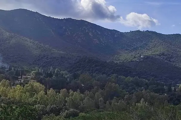 Le colline attorno a Burcei (Foto Serreli)
