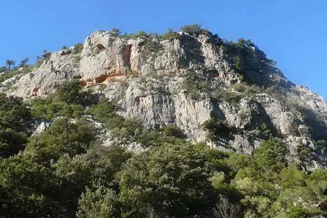 La zona in cui è stato scoperto il cadavere