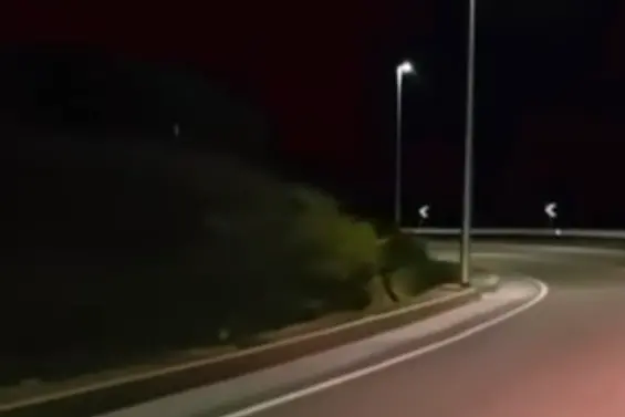 Litoranea di Balai a Porto Torres (foto Pala)