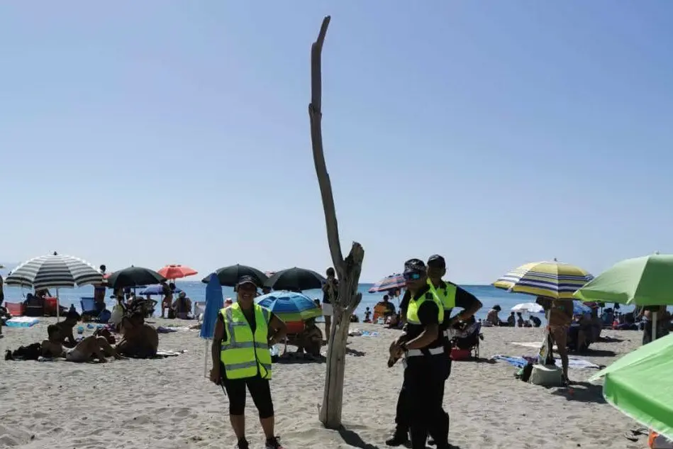 Il grosso ramo piantato in spiaggia (Foto Polizia municipale)