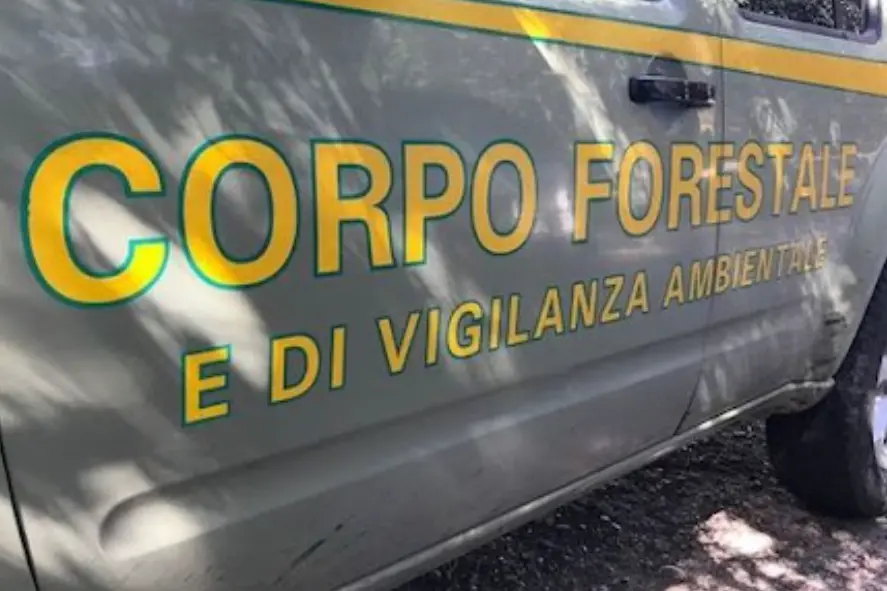 Un'auto della forestale