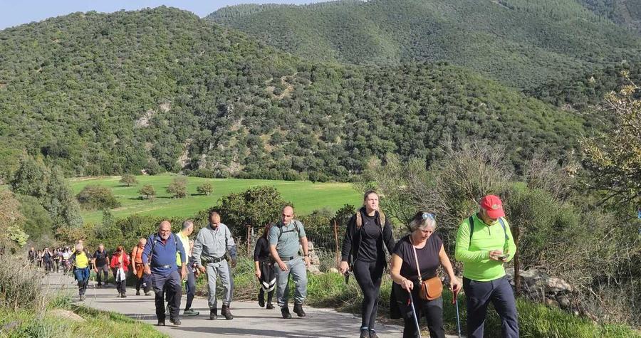 Foreste aperte, quattro giornate tra boschi e fiumi