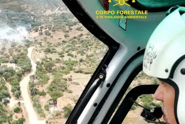 Pascoli in fiamme a Olbia: interviene l'elicottero