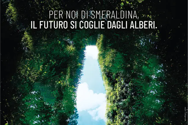 Smeraldina pianterà 859 alberi in Sardegna