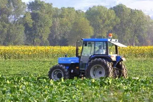 Lavori nei campi