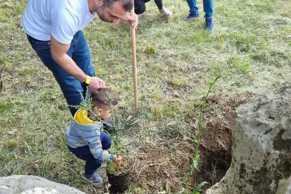 The planting of the first plants