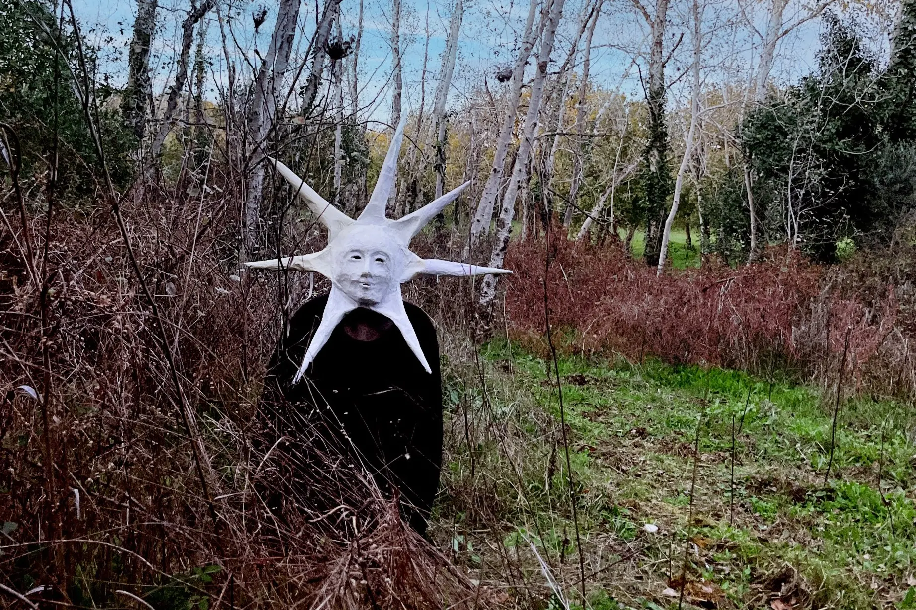Uno dei personaggi che si possono incontrare nel bosco osilese (foto ufficio stampa)