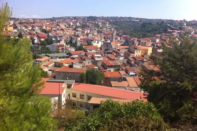 Ossi (foto concessa)