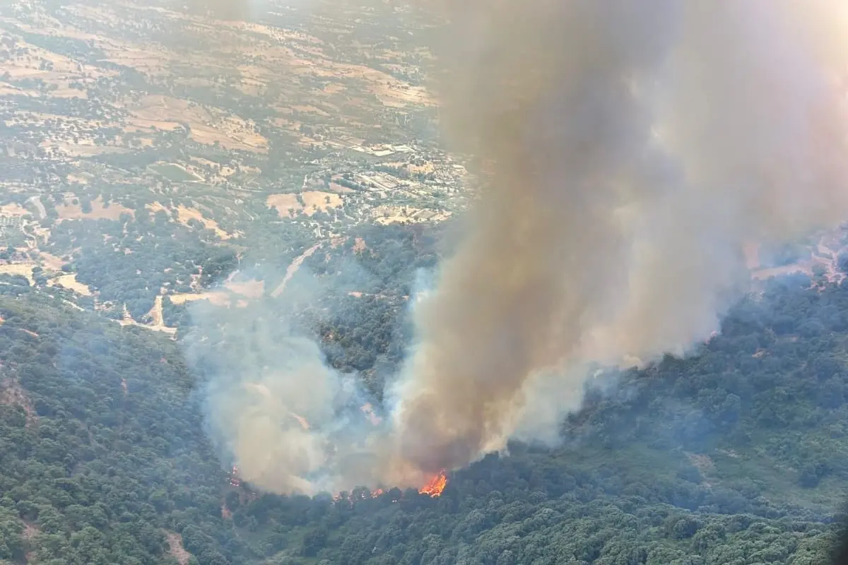 L'incendio a Bottidda. Foto Corpo Forestale