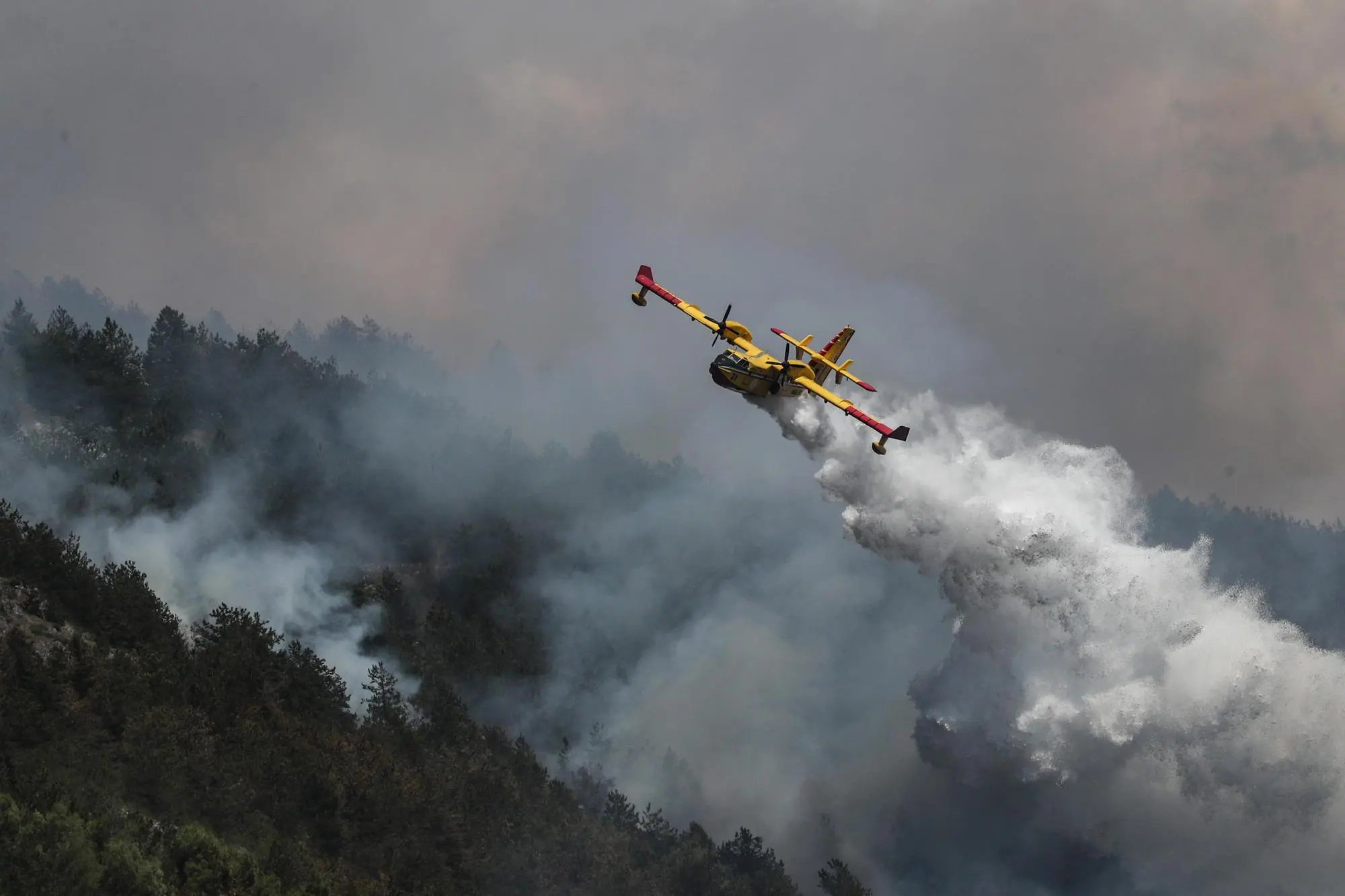 Canadair in volo per spegnere un incendio (archivio)