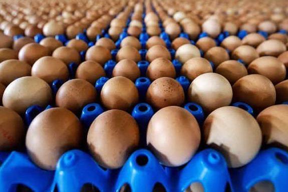 Uova contaminate da salmonella: altri lotti ritirati dai supermercati