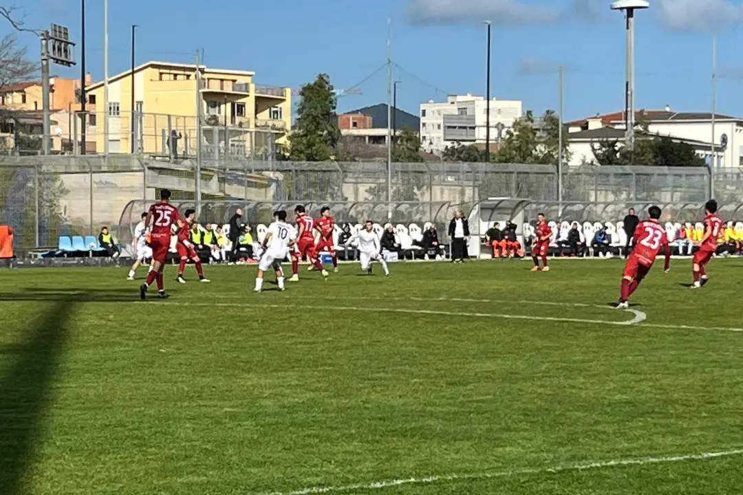 Livieri in panchina sullo sfondo nel match Olbia-Montespaccato (foto Ilenia Giagnoni)