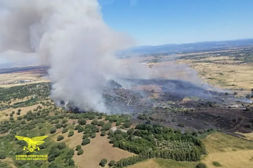 Uno degli incendi nell'area di Macomer (foto Corpo forestale)