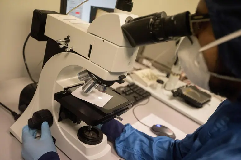 Laboratorio di ricerca (foto Ansa)