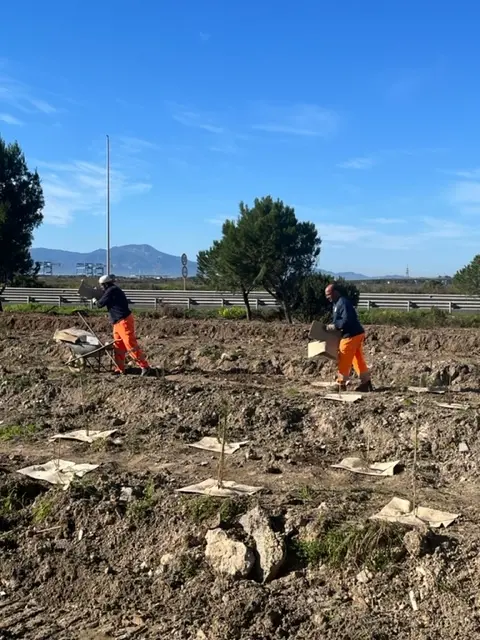 I lavori (foto Comune di Cagliari)