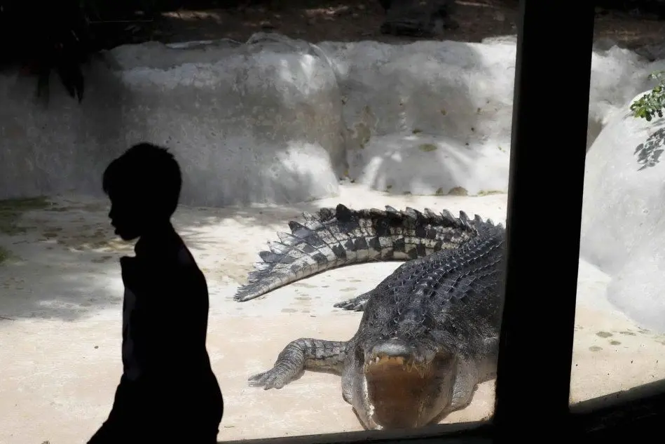 In Thailandia chiude uno degli zoo storici del Paese: il Dusit