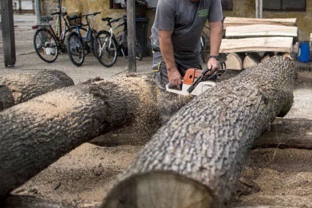 Si taglia un braccio con la motosega mentre fa legna, grave un boscaiolo