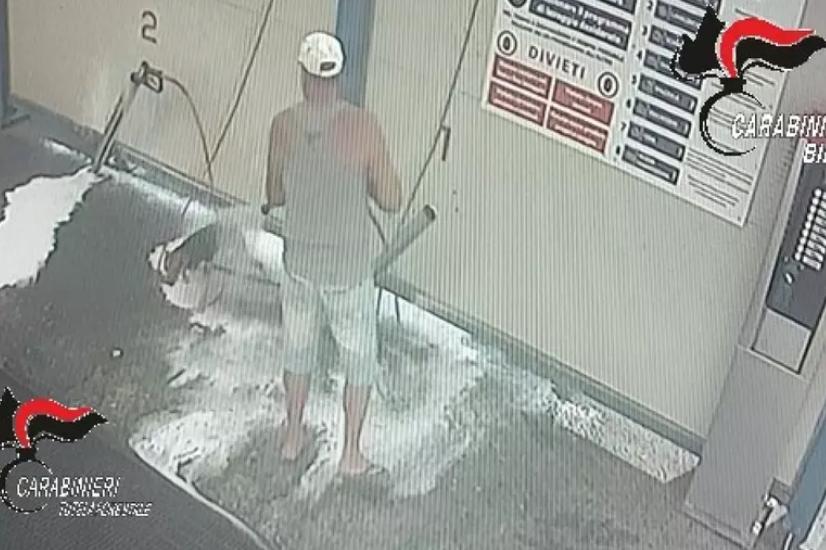 Lava il suo cane all'autolavaggio con la lancia ad alta pressione: denunciato
