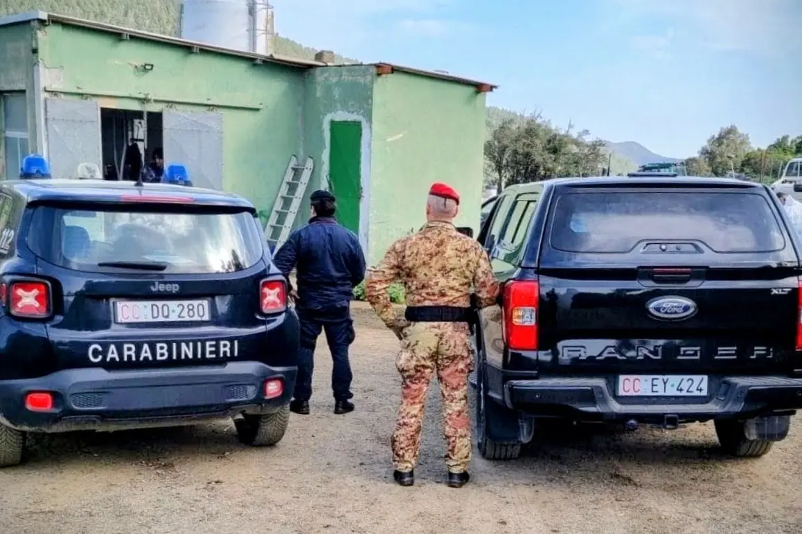 Carabinieri (foto ansa)