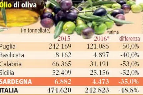 La produzione di olio d'oliva nel 2016
