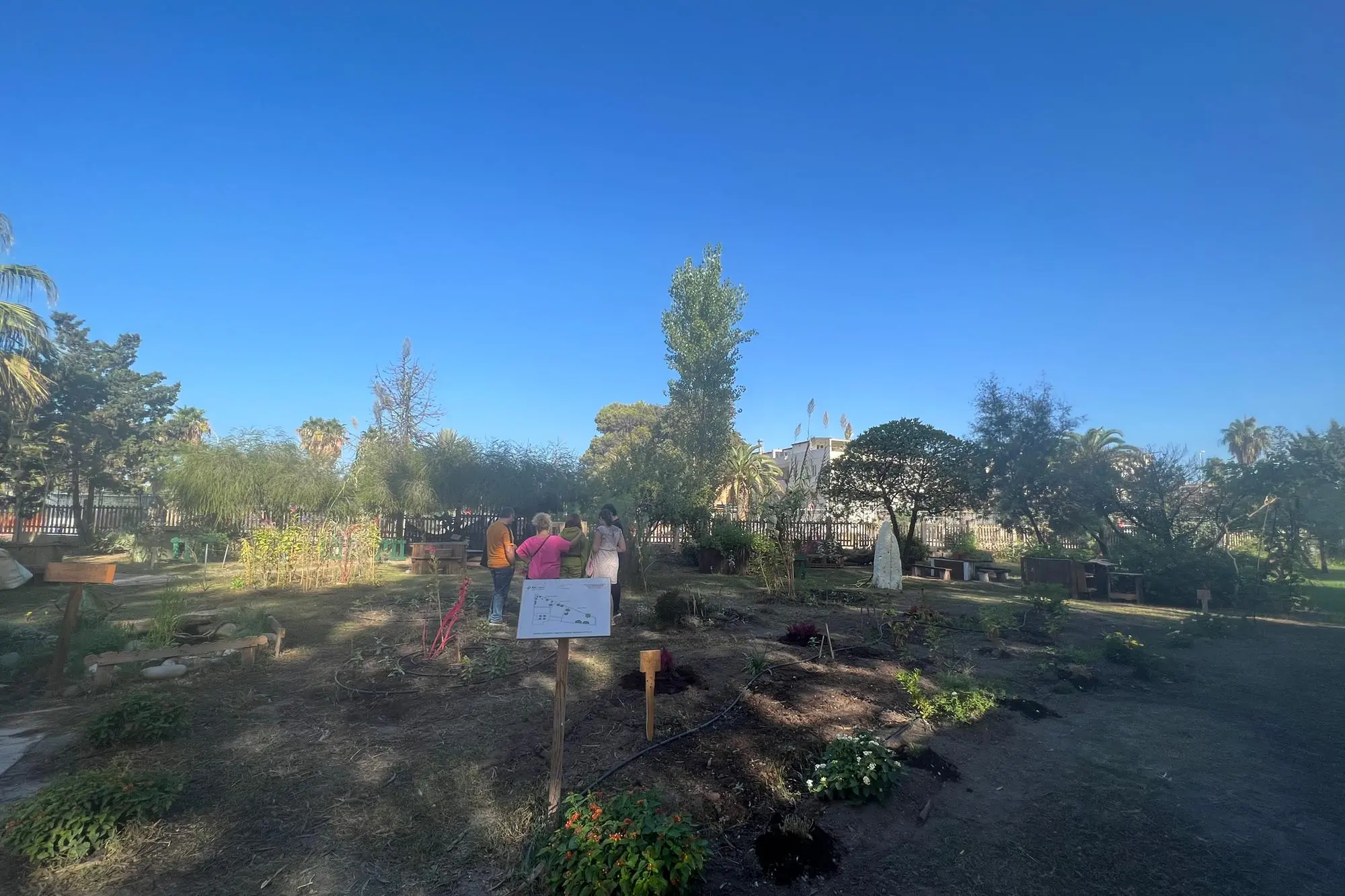 Il giardino del centro di salute mentale a Marina Piccola (foto Melis)