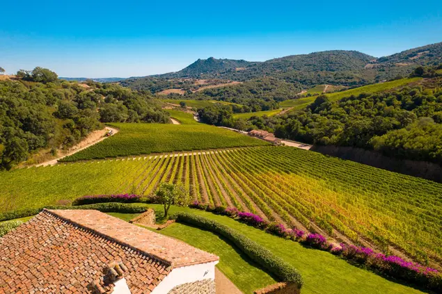 La Cantina Siddùra, a Luogosanto