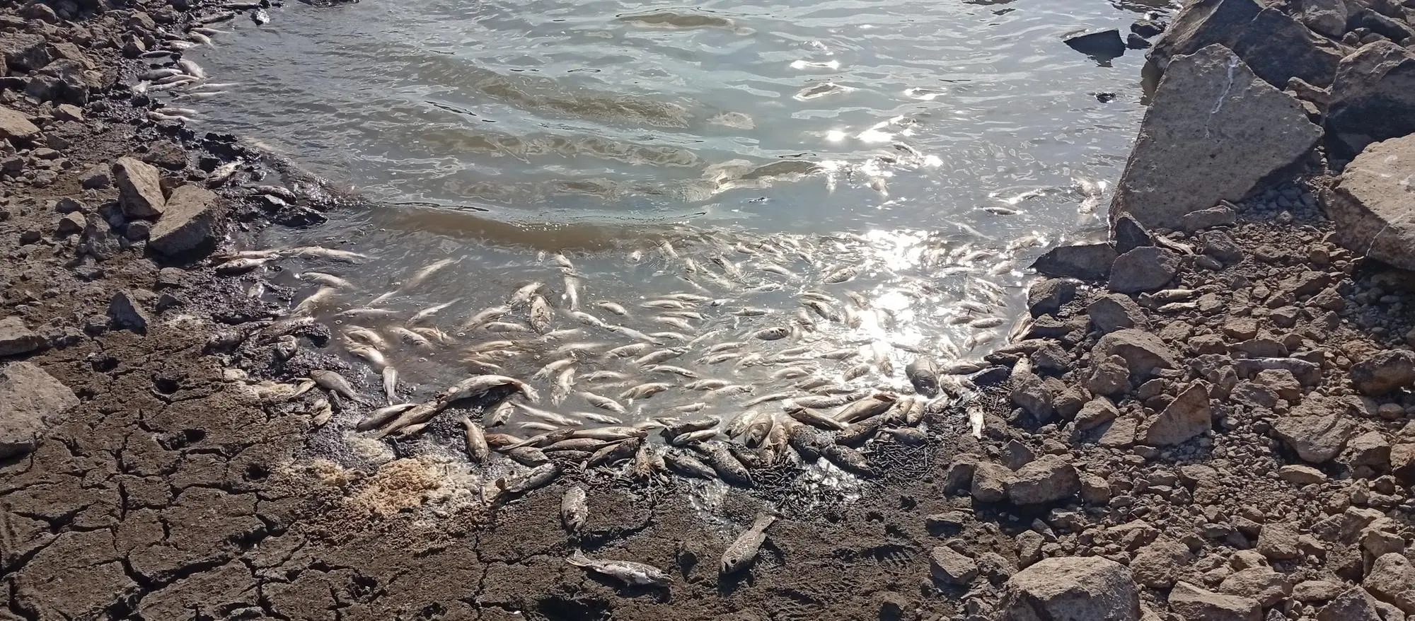 contentid/41e5568e-6f37-4403-b7cb-31e8af8ce0c3