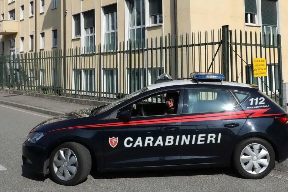 I carabinieri (Ansa)