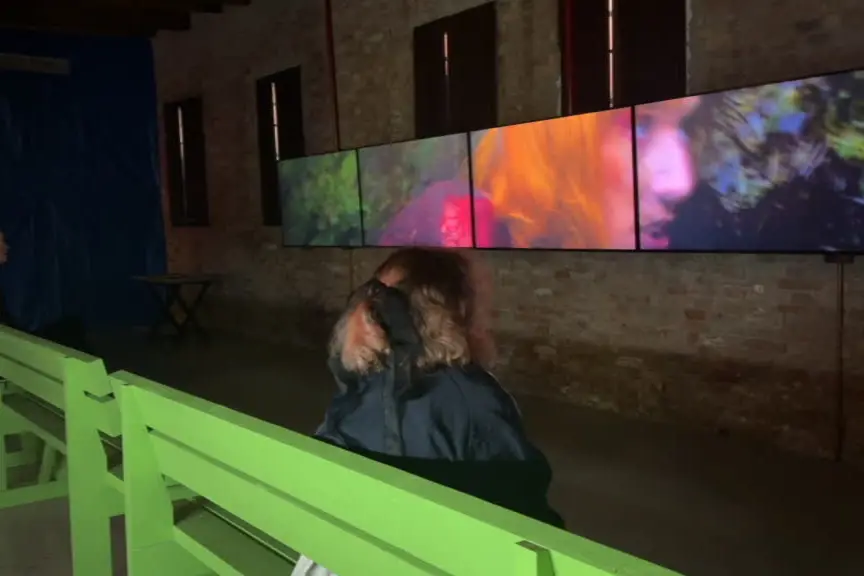 Biennale Arte 2026, Padiglioni della Scozia e del Lussemburgo