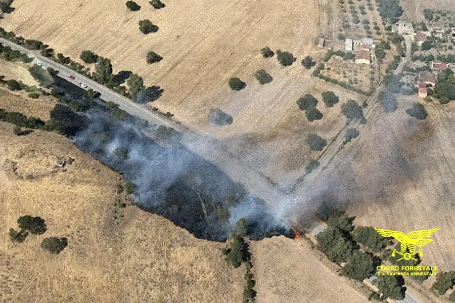 L'incendio a Illorai (foto Corpo forestale)