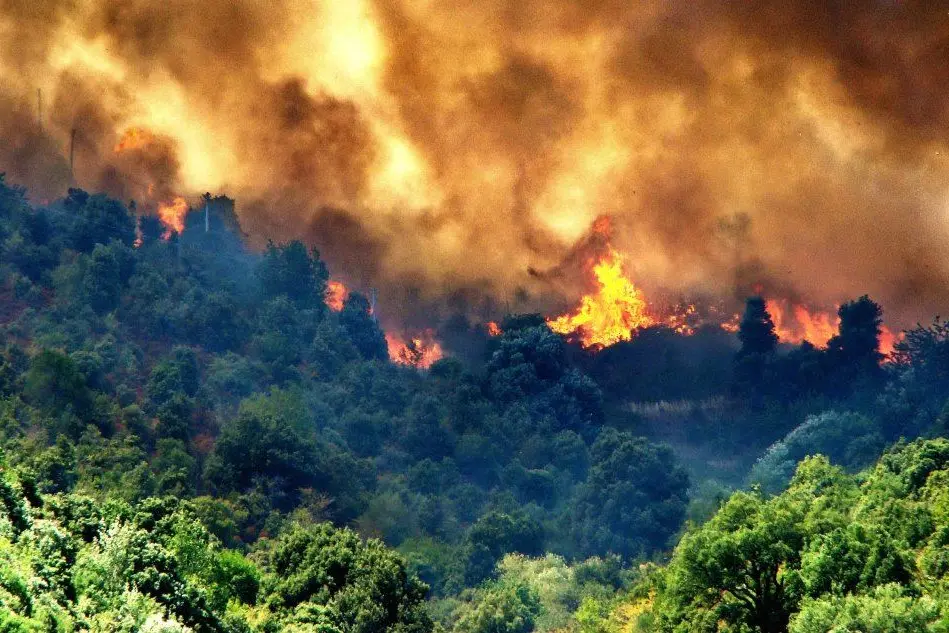 Un incendio del 13 agosto scorso a Balascia, tra Tempio e Oschiri