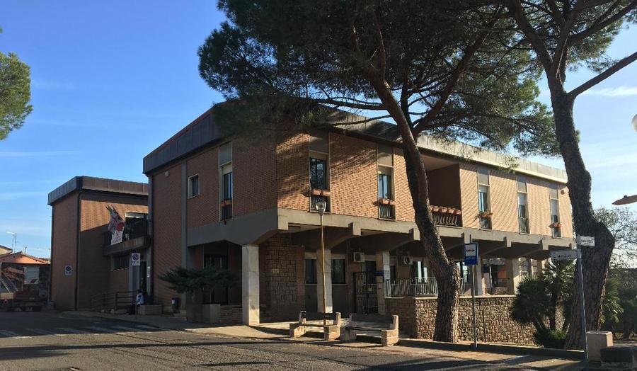 Alberi pericolanti, via al taglio