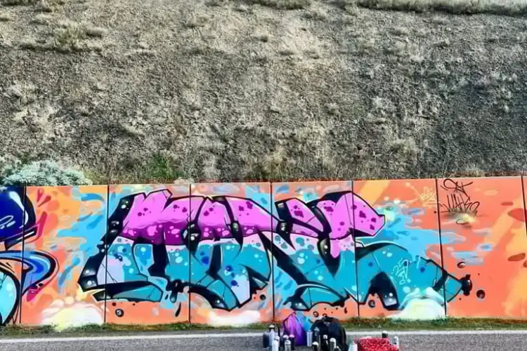 I graffiti sulla circonvallazione (foto concessa)