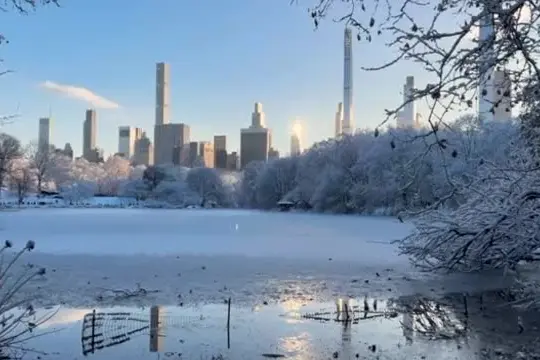 Il sole fa scintillare la neve, la magia di Central Park a New York