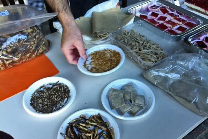 ANCONA - Una degustazione di piatti realizzati con insetti nell'ambito del convegno promosso dall'Università Politecnica Marche"Insetti, cibo del futuro?".