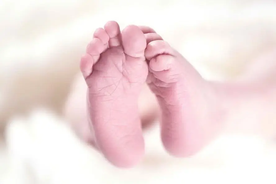 Un neonato (foto Pixabay)