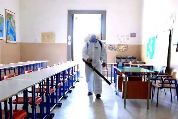 Derattizzazione nelle scuole